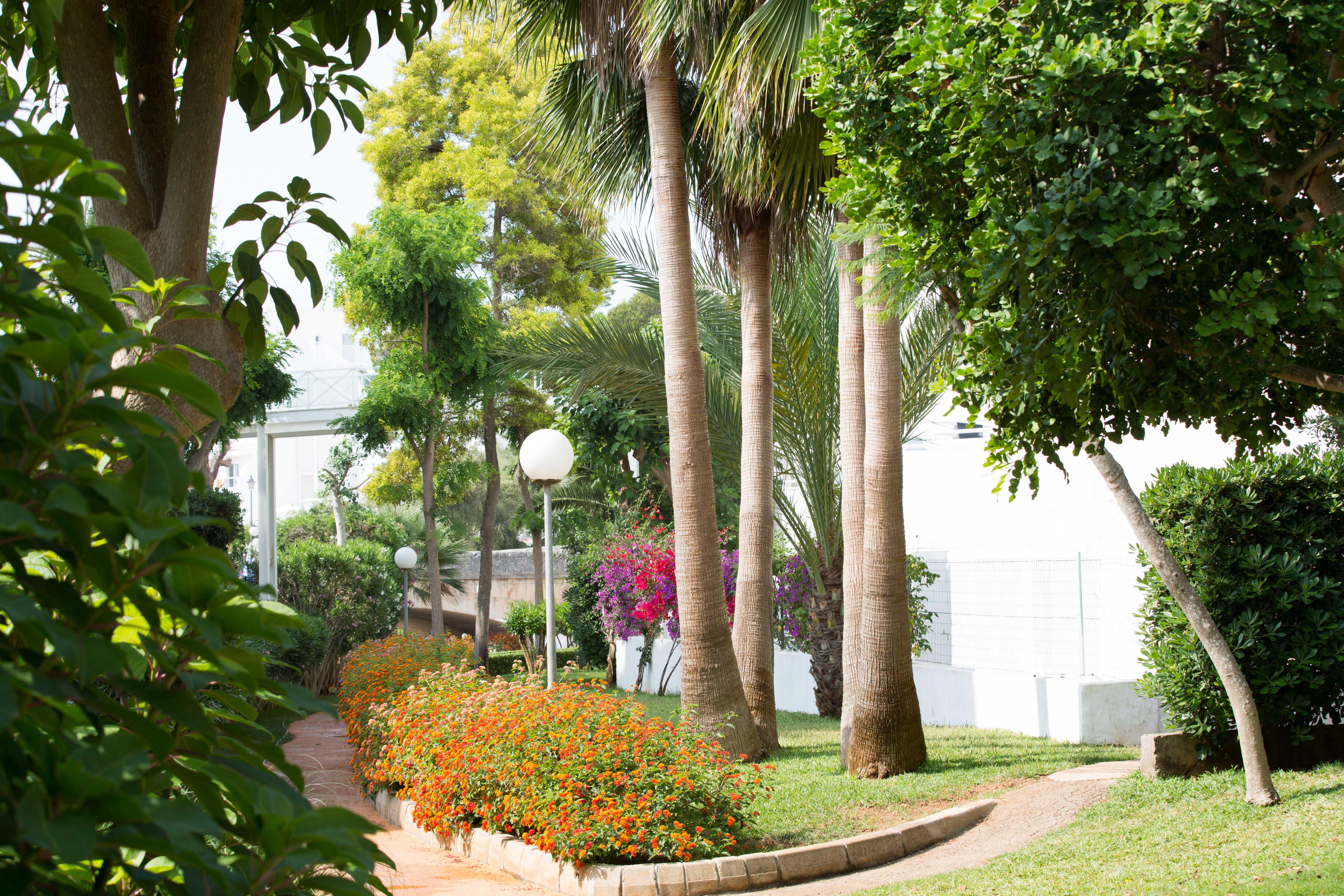 Gavimar Cala Gran Hotel And Apartments Cala D´Or Dış mekan fotoğraf