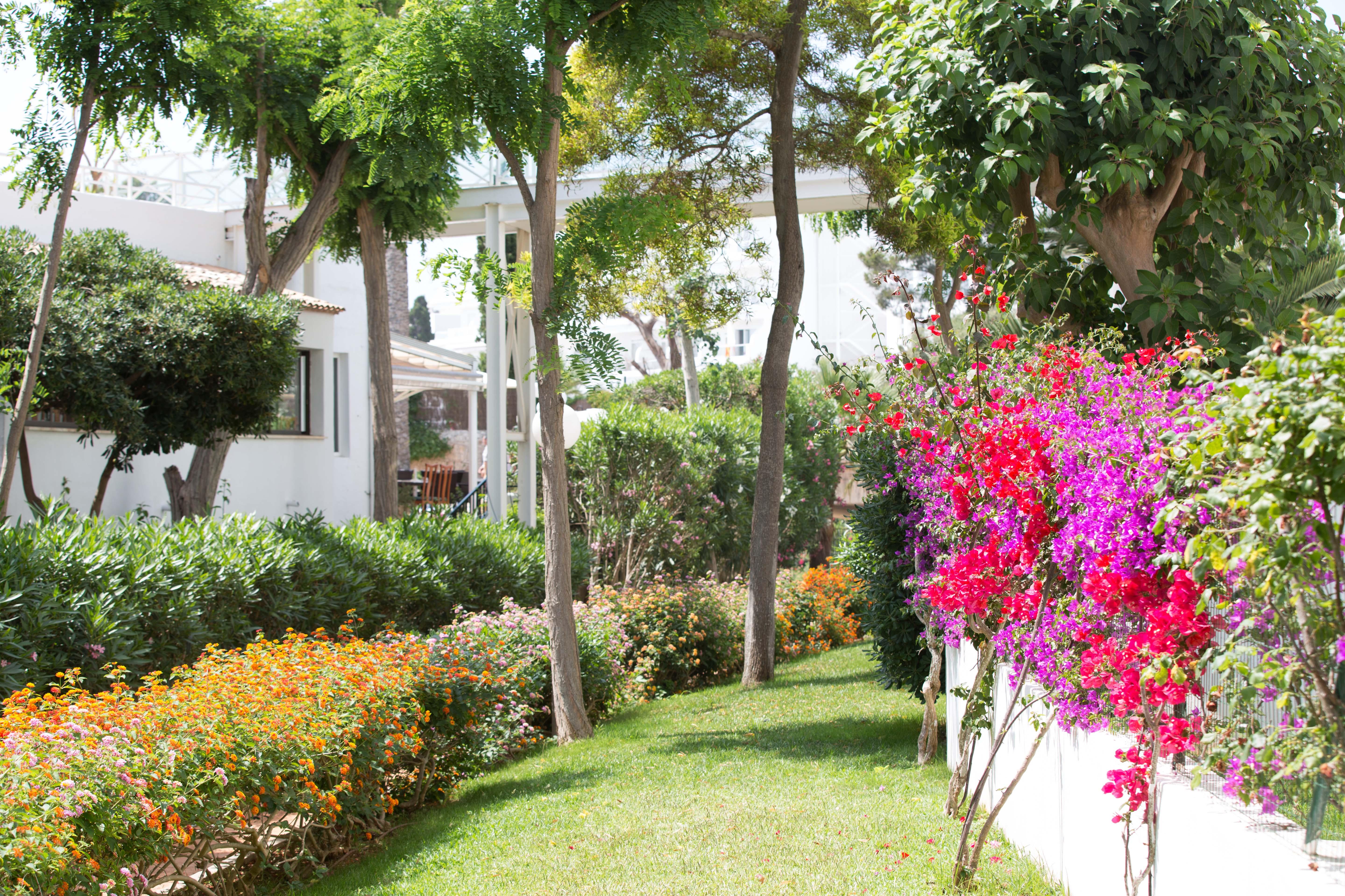 Gavimar Cala Gran Hotel And Apartments Cala D´Or Dış mekan fotoğraf